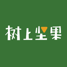 樹上堅果網(wǎng)站建設制作